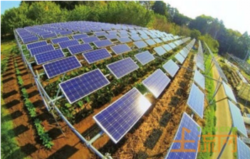 高效晶硅太陽能電池低成本制造關鍵技術及裝備